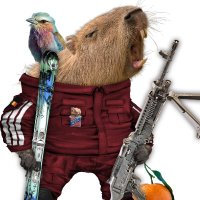 Melsele Dude 🇧🇪🇺🇦🦈🐘 (@melseledude) 's Twitter Profile