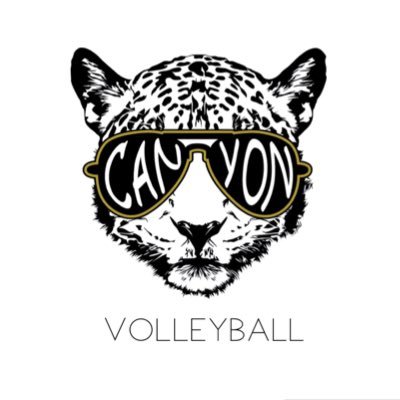 RCHS Volleyball