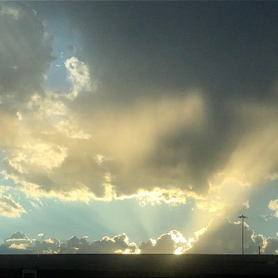 psegura_ECES's profile picture. 