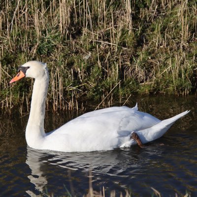 seetjexxx's profile picture. Aan het genieten in het hoge Noorden