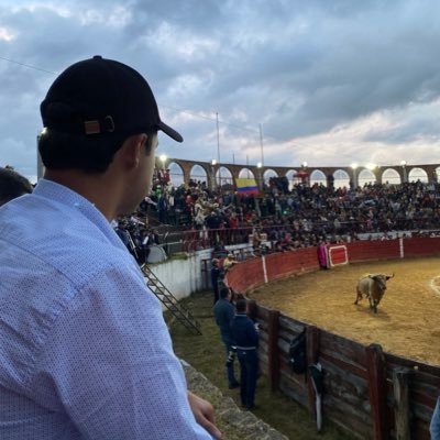 Aficionado a los toros bravos