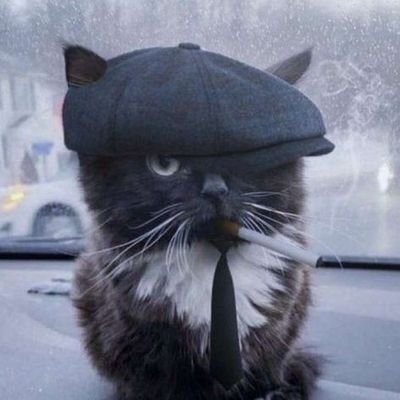 Tanjiro_silva's profile picture. traição já é normal no mundo fracassado como esse...