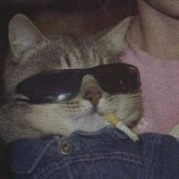 Agleeshiet (@agleeshiet) 's Twitter Profile