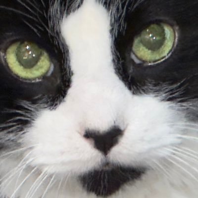 minbits81's profile picture. 