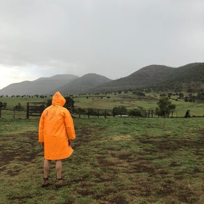 AlbertoHerreCha's profile picture. The eyes chico, they never lie