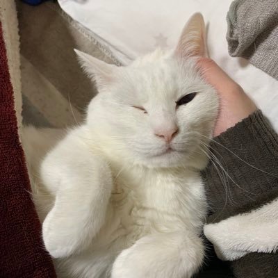 鉱物好き。アクセサリー好き。生き物も好きです。たまに気が向くと何か作ってます。青緑と蛍光とファイアの民。 ジルコンとトルマリンに狂っています。たまにお仕立て待機からもれた石をラクマで放出しています。