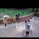 clare potter - @clarepotter84 - Twitter