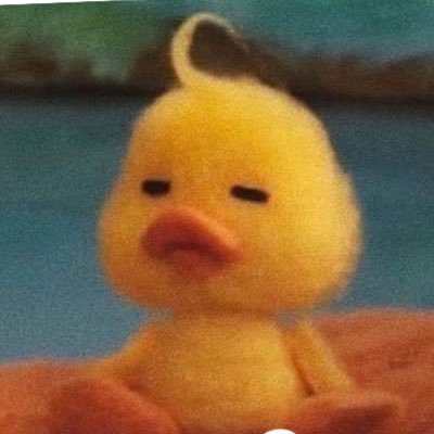 ElAlquimista117's profile picture. Ah shit, here we go again, 🇲🇽 Nueva cuenta