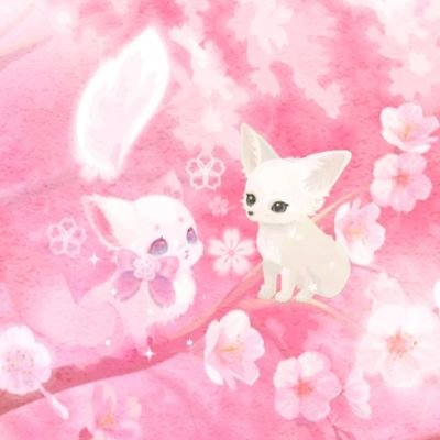 mama ꒰ঌ pokekolo ໒꒱さんのプロフィール画像