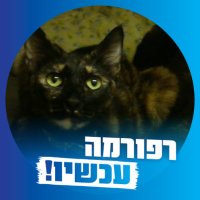 Maya 🟢 🦁 🍉🇮🇱✡️🇮🇱 ☭⃠ מאיה(@mayanotbfor7da1) 's Twitter Profileg