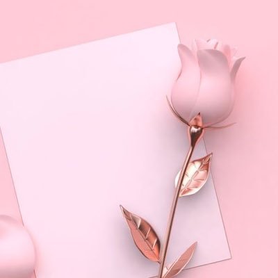 Xaynerb09's profile picture. Future OD👁️🥼🩺