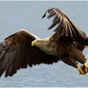 Hunter Levy - @BirdmanMLG - Twitter