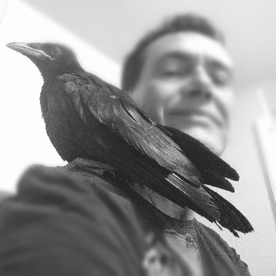 jakguion's profile picture. I just had a dream...