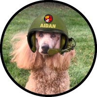 Aidan Holloway(@Aidan_ThePoodle) 's Twitter Profile Photo