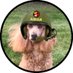 Aidan Holloway (@aidan_thepoodle) Twitter profile photo Aidan Holloway (@aidan_thepoodle) Twitter profile photo