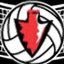 Official Twitter Account for Peters Twp. Boys Volleyball