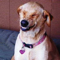 atr ahre 🐶 (@atr_ahre) 's Twitter Profile Photo atr ahre 🐶 (@atr_ahre) 's Twitter Profile Photo