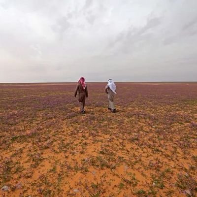 وعلى الله فليتوكل المتوكلون