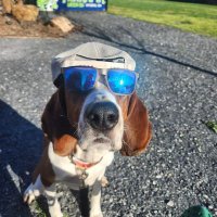 Keith Anderson (@anders13keith) 's Twitter Profile