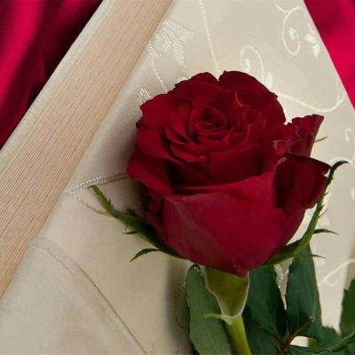 #حساب_شخصي مدرب معتمد للمؤسسة ومركز الحوار #كوتش #مستشار |💡TOTce2030#عضو @KACND