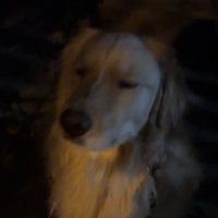 Crispy (@crispywya) 's Twitter Profile