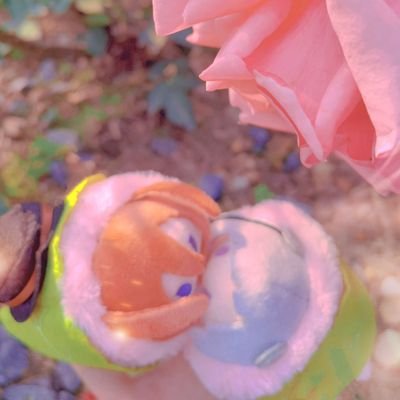 fighting鱼泡さんのプロフィール画像