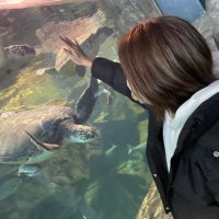 りな (@rina_angler) 's Twitter Profile Photo