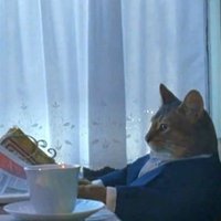 Greysweyr (@greysweyr) 's Twitter Profile