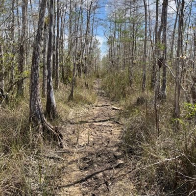 Grad student @FIU focusing on hydrogeological modeling in South Florida.