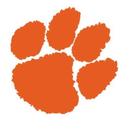 LburgTigerHoops Profile Picture