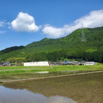 学生流むらづくりプロジェクト木の家@kinoieprojectの2023年新歓アカウントです！兵庫県多可町を拠点に、自然や村の方々との交流を始めとした多岐にわたる活動を行っています！質問・入会はDMかLINEまでお願いします！