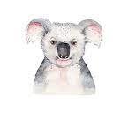 12Gaganode's profile picture. #ThisIsSparta