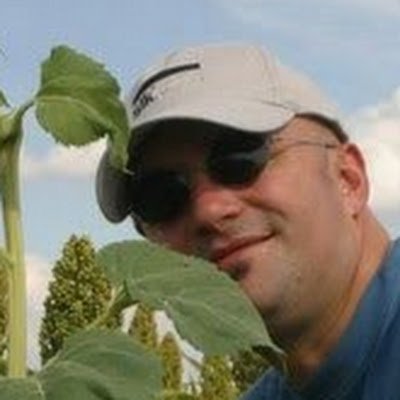 NicolasPinot8's profile picture. 