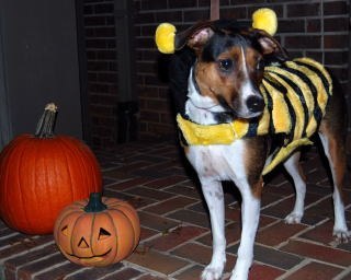 Bsheltondesign's profile picture. Passionate about interior design, certified kitchen designer, aging in place specialist