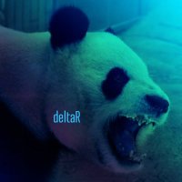 deltaR (@delt4_r_) 's Twitter Profile