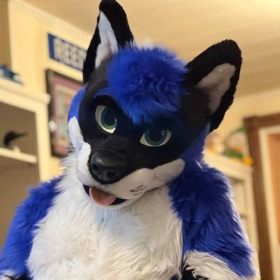 Wynston Wolf and Tully O'Husky are my fursuits.  I'm a furiendly South Jersey Fur who loves meeting and giving hugs to other furs! Please NO MINORS!18+ONLY