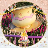 さくら (@nibxda) 's Twitter Profile