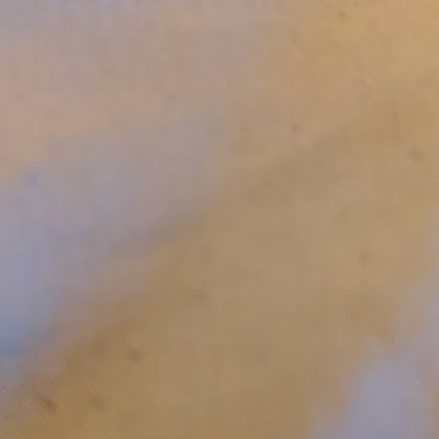 Chocola91112931's profile picture. 