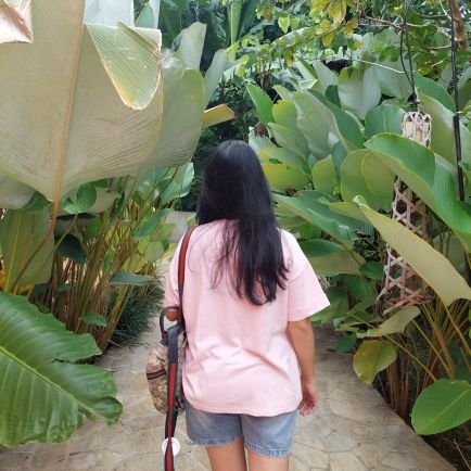 kelapkelipawan's profile picture. 