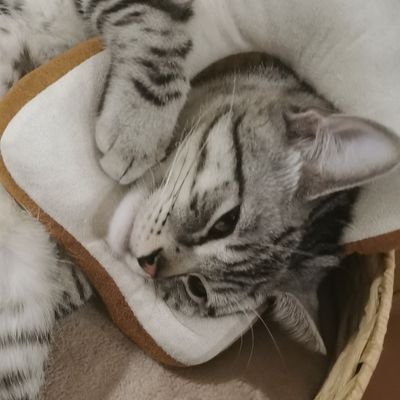 枯uさんのプロフィール画像