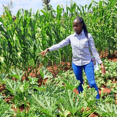 Agriculture Extension Specialist/Regenerative Agriculture Consultant/Agro-ecology Advocacy/ Sustainable Rural Livelihoods Enthusiast