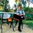 ansh_kanda's profile image