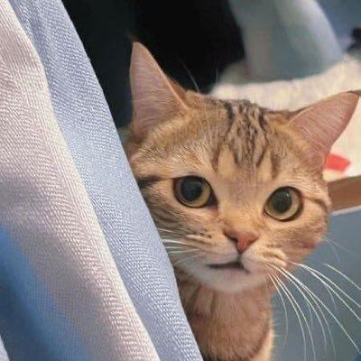 qazplmSW000's profile picture. 