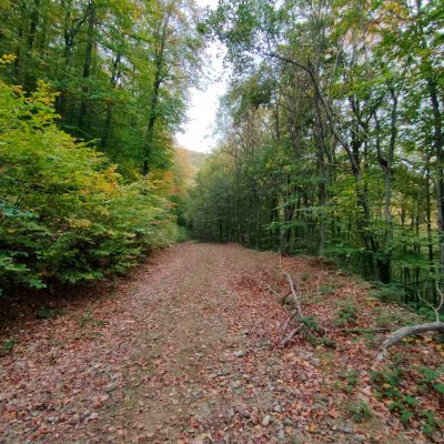 ETheodosiadis's profile picture. Enviromentalist