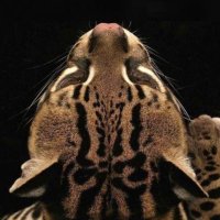 Moha (@_hmoodi_) 's Twitter Profile
