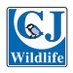 CJ Wildlife Bird Foods (@CJWildlife) Twitter profile photo