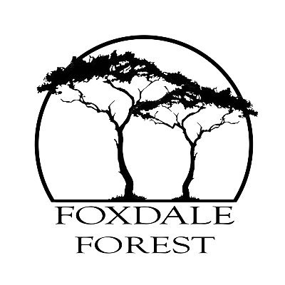 Foxdale Forest is Zambia’s first sustainable residential housing development. Located in a unique indigenous forest in Foxdale, Lusaka, Zambia.