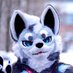 Blitzen / ブリッツェン (@blitzenkemo) Twitter profile photo Blitzen / ブリッツェン (@blitzenkemo) Twitter profile photo
