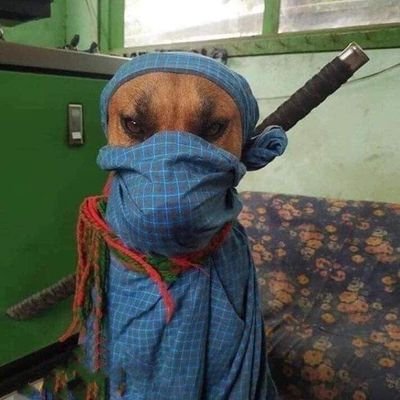 GanendraMahesa's profile picture. 