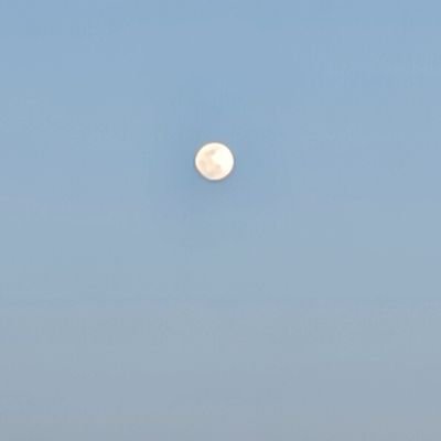 noirchocola999's profile picture. 成人済/㊗️美しい彼S2&劇場版🐥👑沼/原作・ドラマCD・コミックス履修済/妄想を文字起こし中/